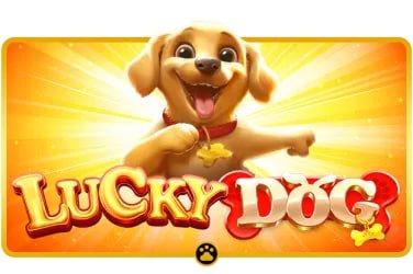 Bàn dealer trực tiếp trong sảnh live casino chuyên nghiệp